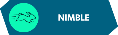 careersValuesNimble